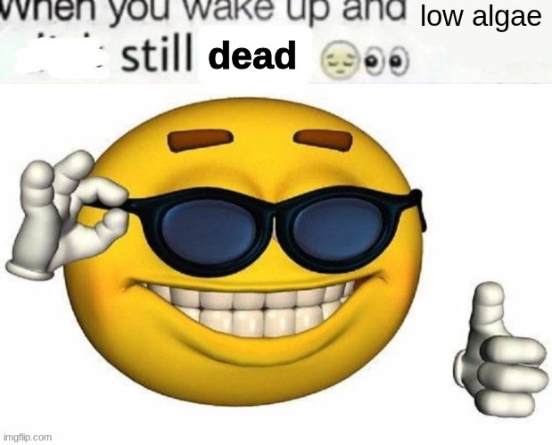 Fixed | dead | made w/ Imgflip meme maker