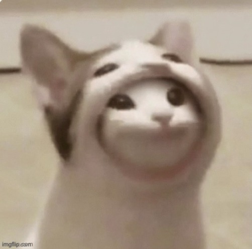 Popcat | image tagged in popcat | made w/ Imgflip meme maker
