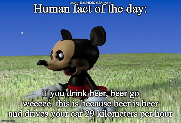 my brain exploded | Human fact of the day:; if you drink beer, beer go weeeee. this is because beer is beer and drives your car 29 kilometers per hour | image tagged in damn is xdddd | made w/ Imgflip meme maker