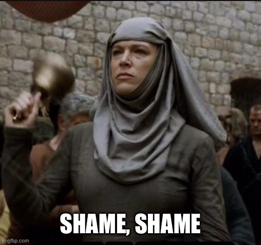 Shame | SHAME, SHAME | image tagged in shame | made w/ Imgflip meme maker