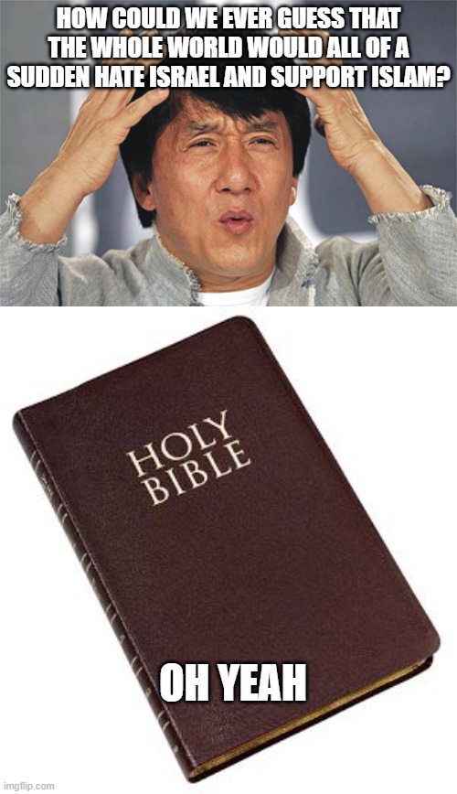HOW COULD WE EVER GUESS THAT THE WHOLE WORLD WOULD ALL OF A SUDDEN HATE ISRAEL AND SUPPORT ISLAM? OH YEAH | image tagged in jackie chan confused,holy bible | made w/ Imgflip meme maker