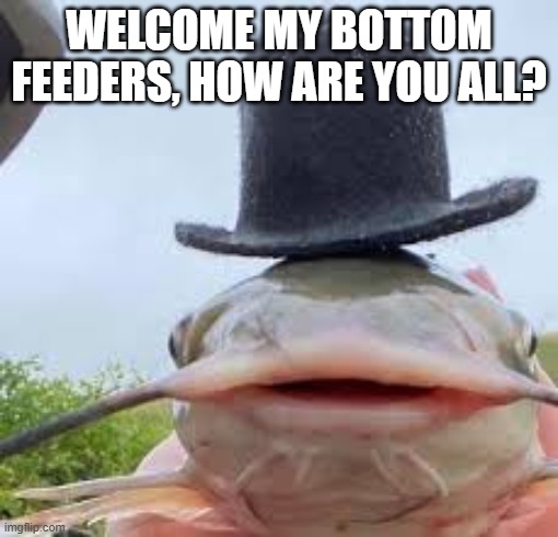 fish | WELCOME MY BOTTOM FEEDERS, HOW ARE YOU ALL? | image tagged in drippy | made w/ Imgflip meme maker
