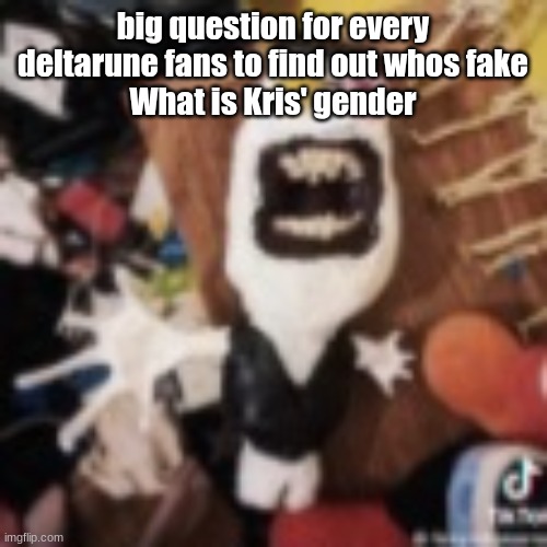 spamton | big question for every deltarune fans to find out whos fake
What is Kris' gender | image tagged in spamton | made w/ Imgflip meme maker