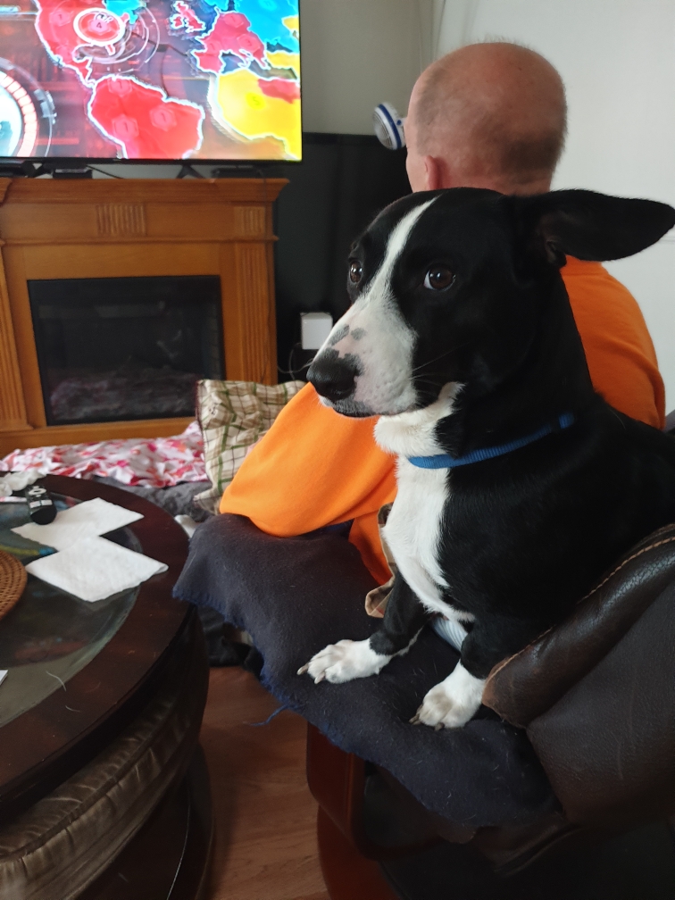 Silly pup Blank Meme Template