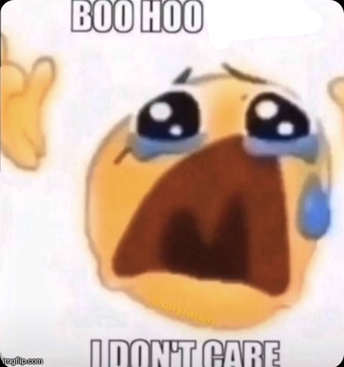 boo hoo I don't care | image tagged in boo hoo i don't care | made w/ Imgflip meme maker