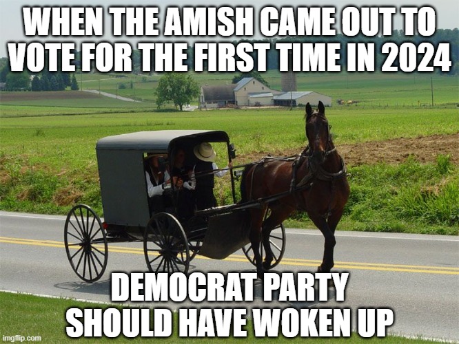 Amish Peeps | WHEN THE AMISH CAME OUT TO VOTE FOR THE FIRST TIME IN 2024; DEMOCRAT PARTY SHOULD HAVE WOKEN UP | image tagged in amish peeps | made w/ Imgflip meme maker