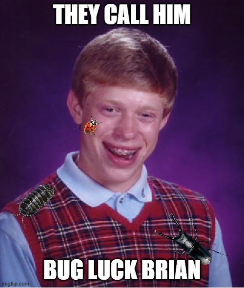 Bug Luck Brian! | THEY CALL HIM; BUG LUCK BRIAN | image tagged in memes,bad luck brian | made w/ Imgflip meme maker