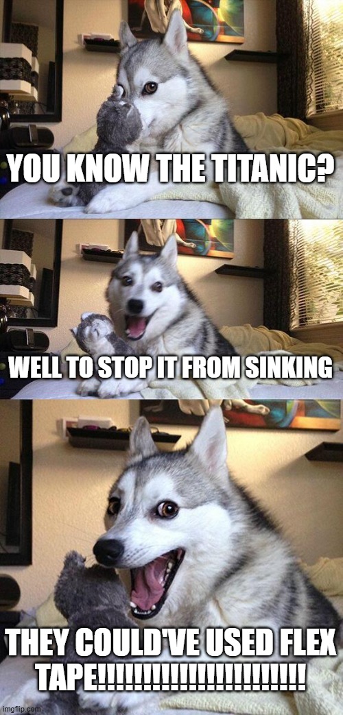 Bad Pun Dog | YOU KNOW THE TITANIC? WELL TO STOP IT FROM SINKING; THEY COULD'VE USED FLEX TAPE!!!!!!!!!!!!!!!!!!!!!!! | image tagged in memes,bad pun dog,titanic,flex tape | made w/ Imgflip meme maker