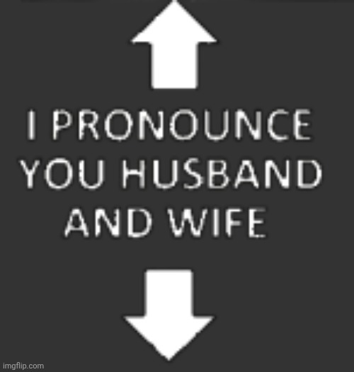 I pronounce you husband and wife | image tagged in i pronounce you husband and wife | made w/ Imgflip meme maker