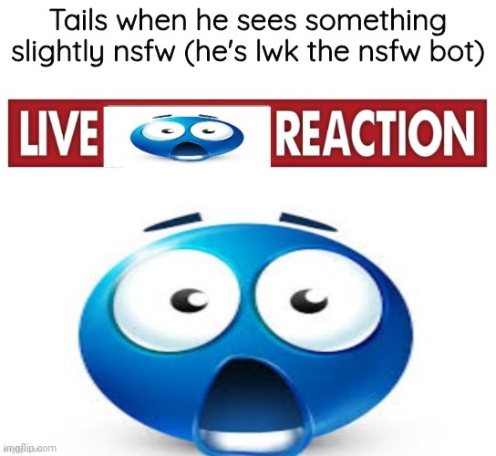 live blue guy reaction | Tails when he sees something slightly nsfw (he's lwk the nsfw bot) | image tagged in live blue guy reaction | made w/ Imgflip meme maker