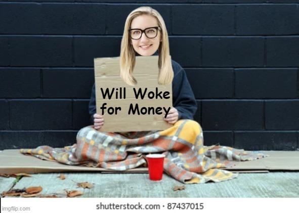 Will Woke for Money | made w/ Imgflip meme maker