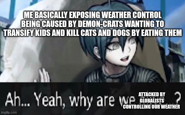 Ah yeah, Why are WE being attacked by the Globalist Climate extremists? | ME BASICALLY EXPOSING WEATHER CONTROL BEING CAUSED BY DEMON-CRATS WANTING TO TRANSIFY KIDS AND KILL CATS AND DOGS BY EATING THEM; ATTACKED BY GLOBALISTS CONTROLLING OUR WEATHER | image tagged in why are we,waifus against globalism,climate change is made up by haarp | made w/ Imgflip meme maker
