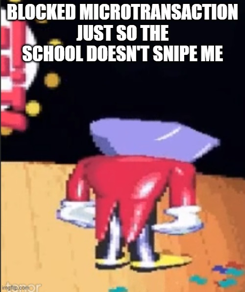 Tenna sadge | BLOCKED MICROTRANSACTION JUST SO THE SCHOOL DOESN'T SNIPE ME | image tagged in tenna sadge | made w/ Imgflip meme maker