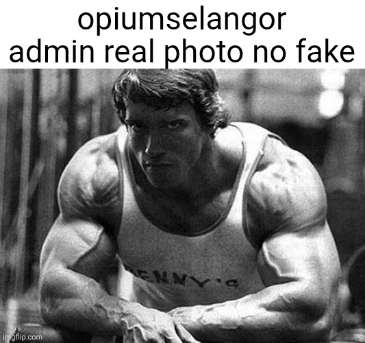 Arnold Schwarzenegger | opiumselangor admin real photo no fake | image tagged in arnold schwarzenegger | made w/ Imgflip meme maker