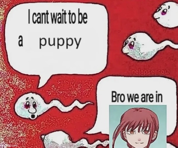 image tagged in chainsaw bear,anime,manga,dawn,memes,shitpost | made w/ Imgflip meme maker