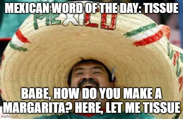 mexican word of the day | MEXICAN WORD OF THE DAY: TISSUE; BABE, HOW DO YOU MAKE A MARGARITA? HERE, LET ME TISSUE | image tagged in mexican word of the day,memes,alcohol,funny memes,funny,lol so funny | made w/ Imgflip meme maker