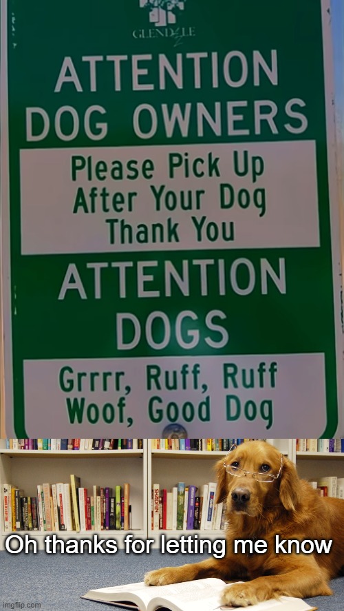 Oh thanks for letting me know | image tagged in dog reading | made w/ Imgflip meme maker