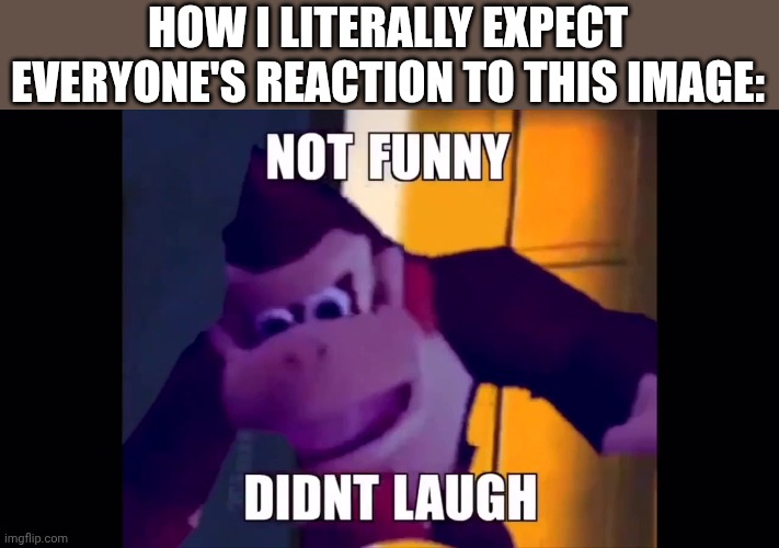 Not funny didn't laugh | HOW I LITERALLY EXPECT EVERYONE'S REACTION TO THIS IMAGE: | image tagged in not funny didn't laugh | made w/ Imgflip meme maker
