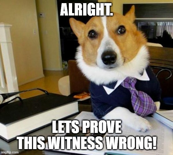 weird dogs | ALRIGHT. LETS PROVE THIS WITNESS WRONG! | image tagged in lawyer corgi dog | made w/ Imgflip meme maker