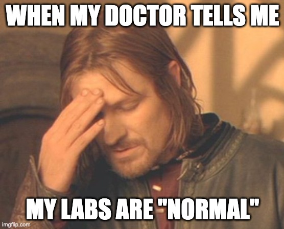 Perimenopausal Boromir | WHEN MY DOCTOR TELLS ME; MY LABS ARE "NORMAL" | image tagged in memes,frustrated boromir,perimenopause | made w/ Imgflip meme maker