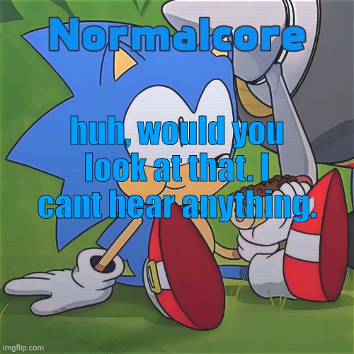 Random Sonic Template (REMAKE) | huh, would you look at that. I cant hear anything. | image tagged in random sonic template remake | made w/ Imgflip meme maker
