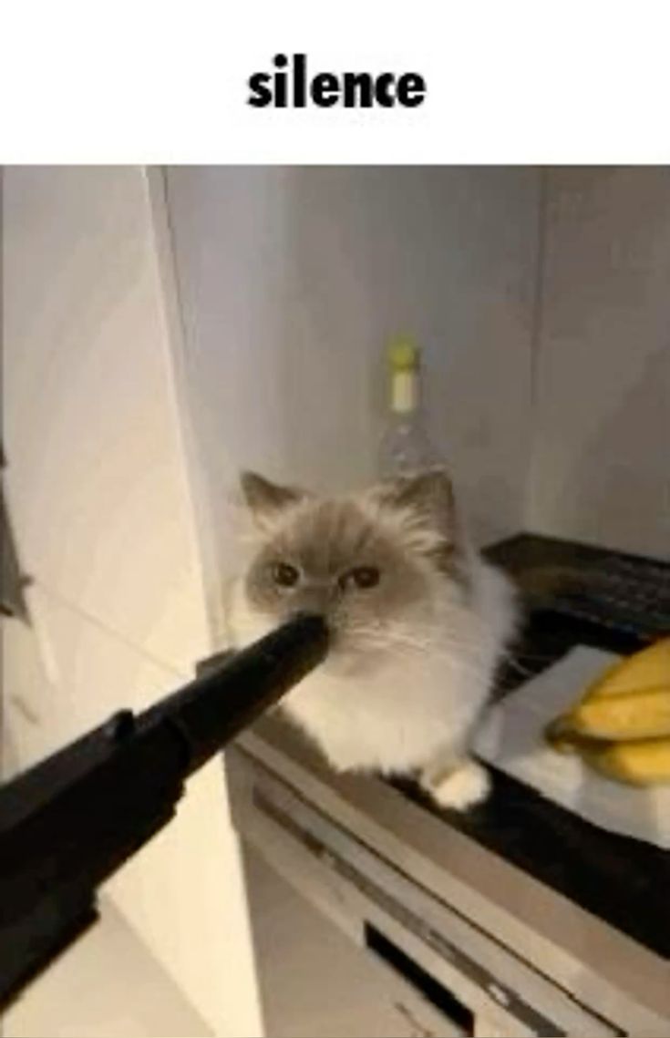 Silence Blank Meme Template