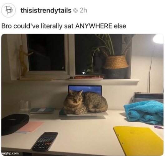 Time to get a heated bed | image tagged in cat logic,funny,repost | made w/ Imgflip meme maker