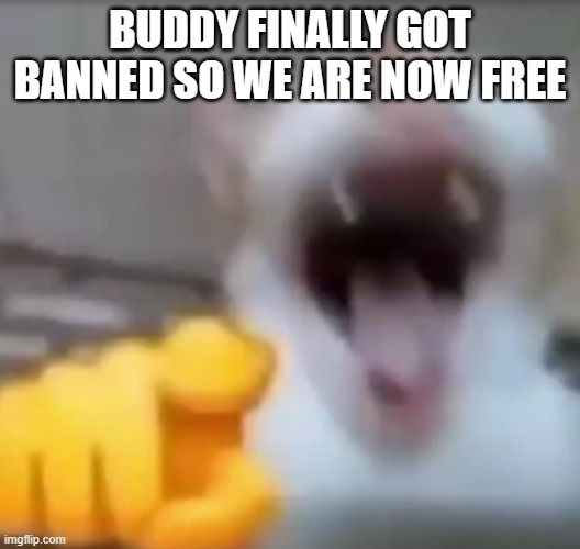 repiss got banned | BUDDY FINALLY GOT BANNED SO WE ARE NOW FREE | image tagged in cat pointing and laughing | made w/ Imgflip meme maker