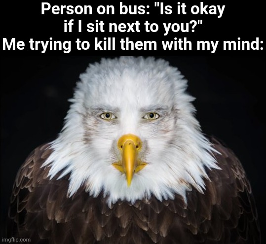 h | Person on bus: "Is it okay if I sit next to you?"
Me trying to kill them with my mind: | image tagged in bald eagle stare | made w/ Imgflip meme maker