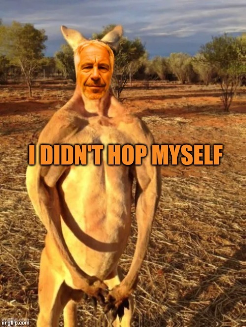 image tagged in kangaroo jeff,jeffrey epstein,hippity hoppity,secret,criminals,downfall | made w/ Imgflip meme maker