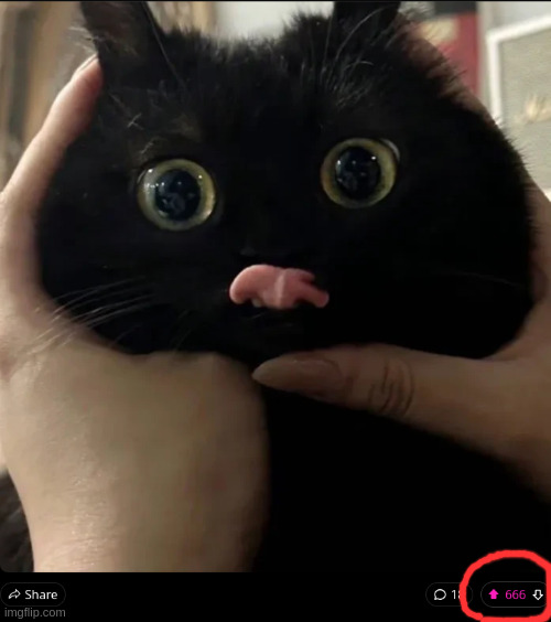 Picture of the above post having 666 upvotes