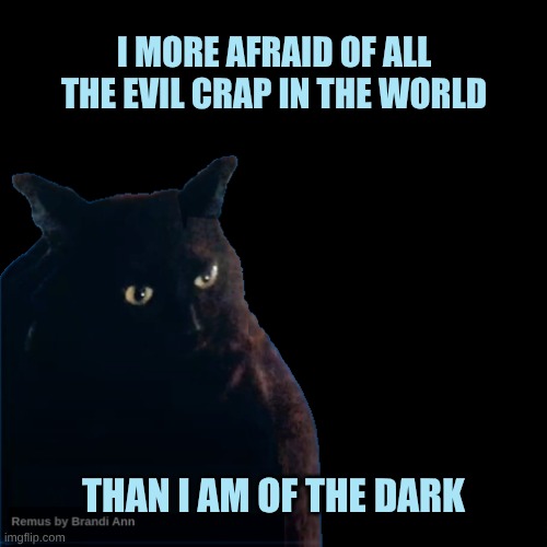 The Dark | I MORE AFRAID OF ALL THE EVIL CRAP IN THE WORLD; THAN I AM OF THE DARK | image tagged in contemplate cat,black cat,darkness,dark mode,no fear,no fear one fear | made w/ Imgflip meme maker