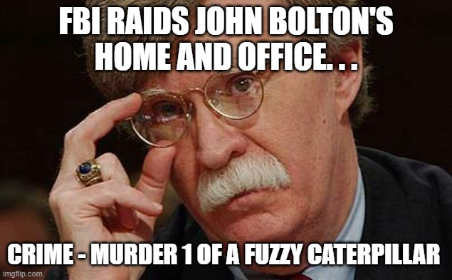 Talk about surprising news of the day. | FBI RAIDS JOHN BOLTON'S HOME AND OFFICE. . . CRIME - MURDER 1 OF A FUZZY CATERPILLAR | image tagged in john bolton approves,fbi,fbi investigation | made w/ Imgflip meme maker