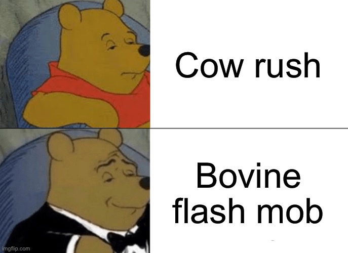 MOOOOOOOO | Cow rush; Bovine flash mob | image tagged in memes,tuxedo winnie the pooh,cow,animals,funny animals | made w/ Imgflip meme maker