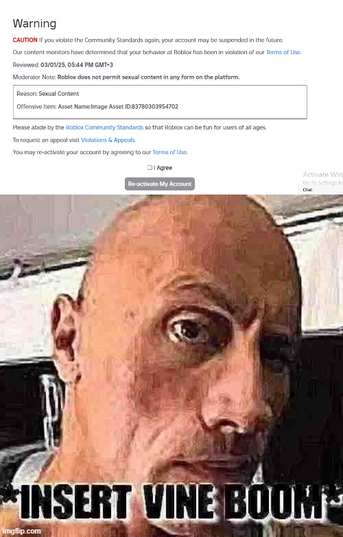 image tagged in insert vine boom | made w/ Imgflip meme maker
