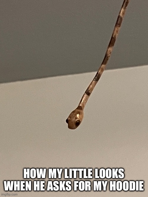 I’m a little but I’m my bfs cg when I’m not little | HOW MY LITTLE LOOKS WHEN HE ASKS FOR MY HOODIE | made w/ Imgflip meme maker