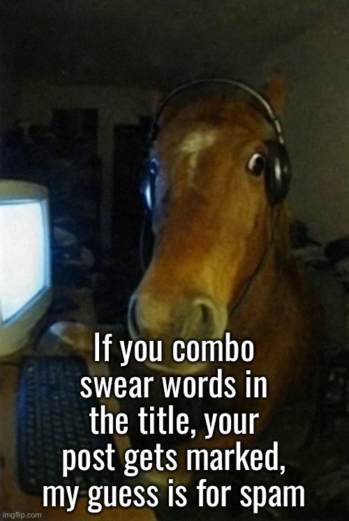 I think I posted too much testing the bot | If you combo swear words in the title, your post gets marked, my guess is for spam | image tagged in horse on computer | made w/ Imgflip meme maker