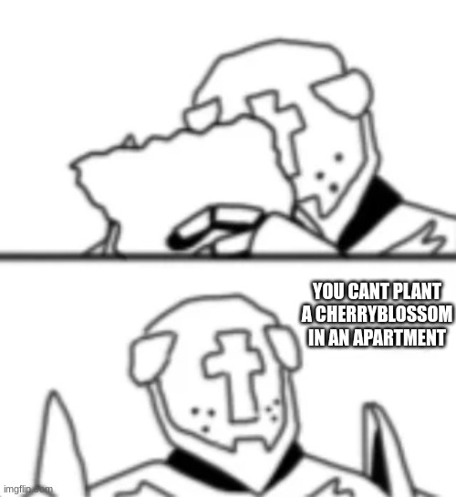 YOU CANT PLANT A CHERRYBLOSSOM IN AN APARTMENT | YOU CANT PLANT A CHERRYBLOSSOM IN AN APARTMENT | made w/ Imgflip meme maker