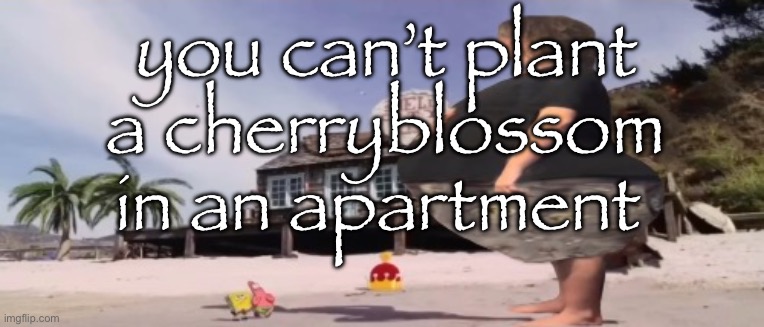 wide load | you can’t plant a cherryblossom in an apartment | image tagged in wide load | made w/ Imgflip meme maker