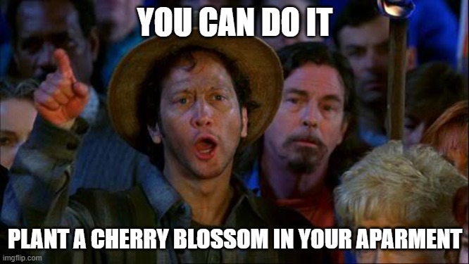 you can do it | YOU CAN DO IT; PLANT A CHERRY BLOSSOM IN YOUR APARMENT | image tagged in you can do it | made w/ Imgflip meme maker