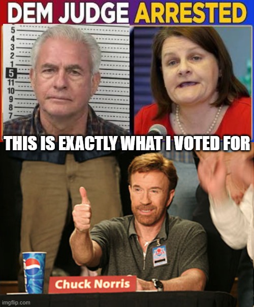THIS IS EXACTLY WHAT I VOTED FOR | image tagged in democrat judges arrested,memes,chuck norris approves | made w/ Imgflip meme maker
