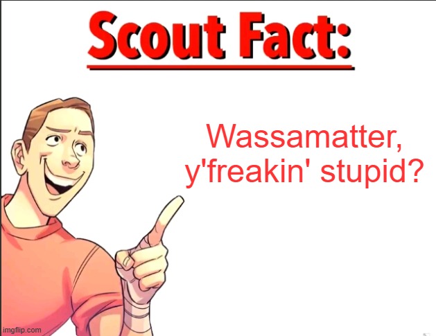 Scout Fact | Wassamatter, y'freakin' stupid? | image tagged in scout fact | made w/ Imgflip meme maker
