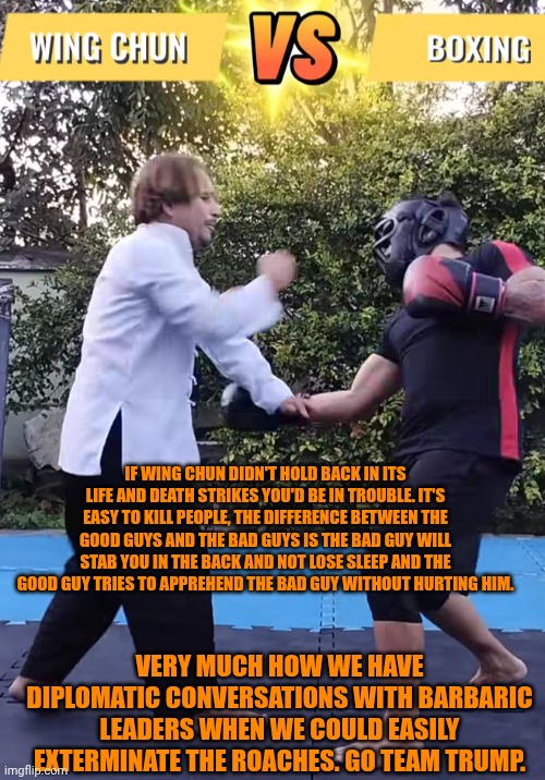 Funny | IF WING CHUN DIDN'T HOLD BACK IN ITS LIFE AND DEATH STRIKES YOU'D BE IN TROUBLE. IT'S EASY TO KILL PEOPLE, THE DIFFERENCE BETWEEN THE GOOD GUYS AND THE BAD GUYS IS THE BAD GUY WILL STAB YOU IN THE BACK AND NOT LOSE SLEEP AND THE GOOD GUY TRIES TO APPREHEND THE BAD GUY WITHOUT HURTING HIM. VERY MUCH HOW WE HAVE DIPLOMATIC CONVERSATIONS WITH BARBARIC LEADERS WHEN WE COULD EASILY EXTERMINATE THE ROACHES. GO TEAM TRUMP. | image tagged in funny,politics,president trump,conversation,cockroaches,martial arts | made w/ Imgflip meme maker