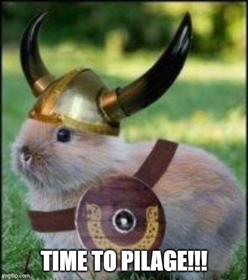 Viking Bunny | TIME TO PILAGE!!! | image tagged in bunnies | made w/ Imgflip meme maker
