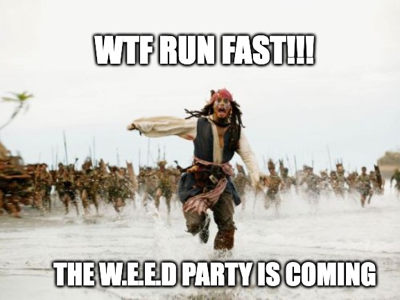 RUN! THE W.E.E.D. PEOPLE ARE COMING | WTF RUN FAST!!! THE W.E.E.D PARTY IS COMING | image tagged in memes,jack sparrow being chased,weed | made w/ Imgflip meme maker