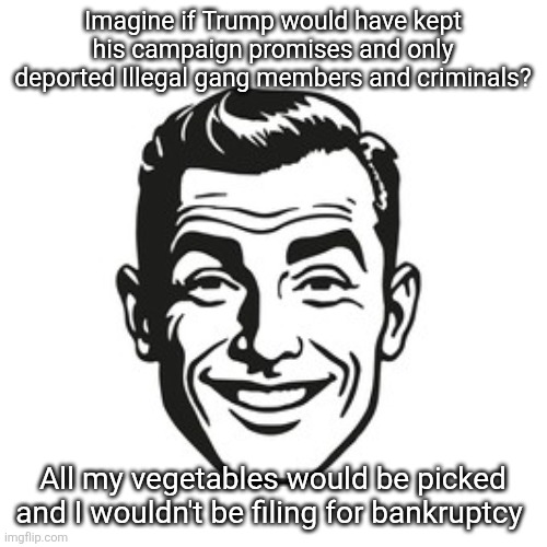 Funny how Trump screws you over | Imagine if Trump would have kept his campaign promises and only deported Illegal gang members and criminals? All my vegetables would be picked and I wouldn't be filing for bankruptcy | image tagged in trump,campaign promises not exactly as planned,bankruptcies for farmers,migrant labor | made w/ Imgflip meme maker