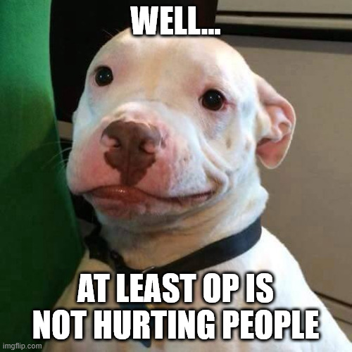 at least dog | WELL... AT LEAST OP IS NOT HURTING PEOPLE | image tagged in at least dog | made w/ Imgflip meme maker