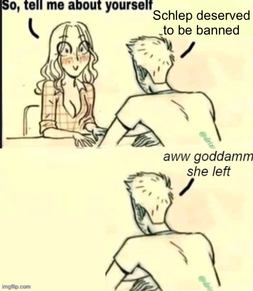 Free Schlep | Schlep deserved to be banned | image tagged in tell me about yourself bad ending,schlep,roblox,banned from roblox | made w/ Imgflip meme maker