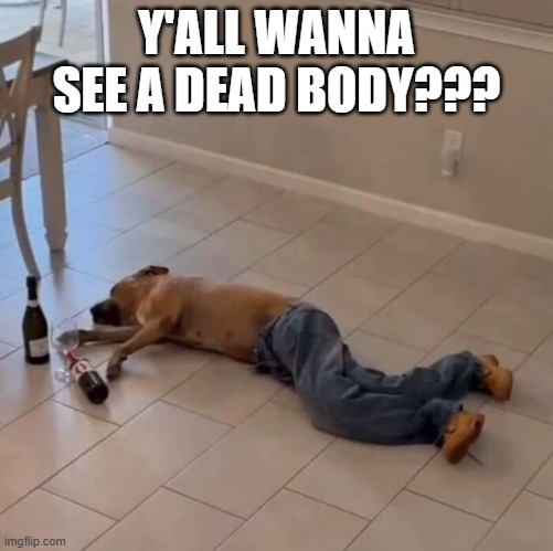 Passed Out | Y'ALL WANNA SEE A DEAD BODY??? | image tagged in dogs | made w/ Imgflip meme maker