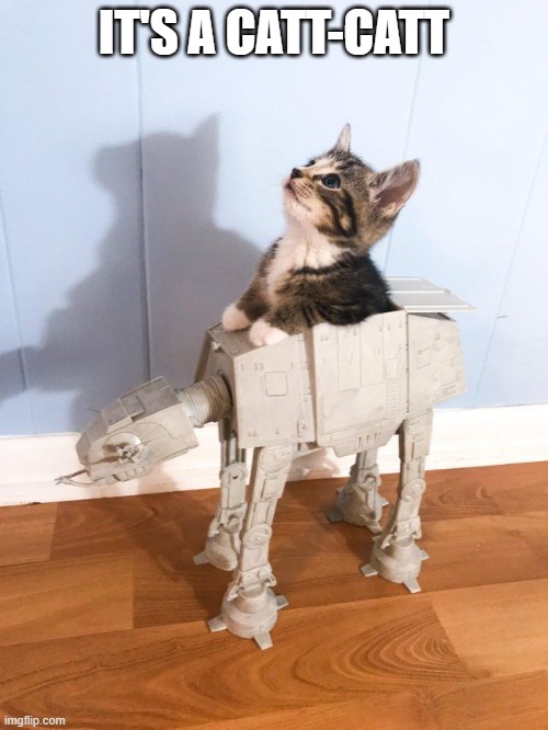 Star Wars Cat | IT'S A CATT-CATT | image tagged in cats | made w/ Imgflip meme maker